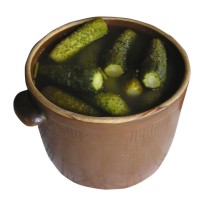 Favorite Pickle Discount - Wednesday May 29th