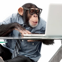 Monkey Business Repair Discount - Friday March 13th