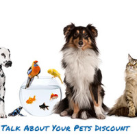 Week of July 20th - Talk About Your Pets