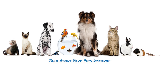 Talk About Your Pets Discount - Friday October 16th