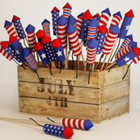 Fireworks Plans Discount - Saturday July 2nd