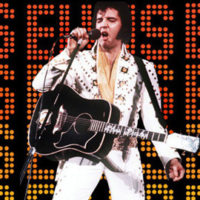 Elvis Impersonation Repair Discount - Wednesday December 7th