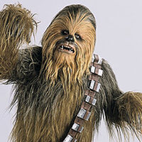 Chewbacca Sounds Discount - Wednesday January 4th