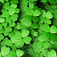 St. Patty's Day Repair Discount - Tuesday March 17th