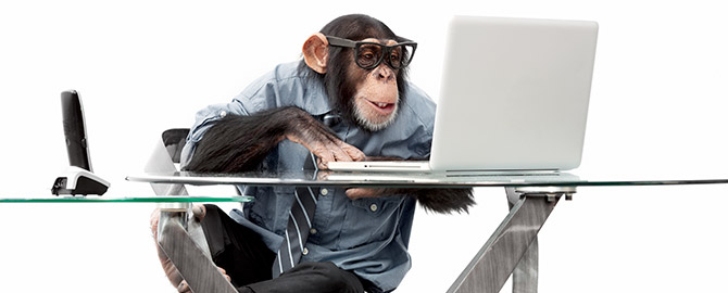 Monkey Business Repair Discount - Friday June 19th