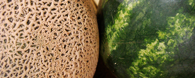 Watermelon or Cantaloupe Discount - Tuesday May 24th