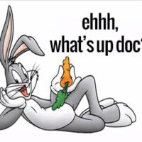 What's Up Doc Discount - Tuesday May 15th
